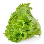 Lettuce, Green Leaf Organic