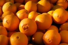 Exta-Large Navel Oranges