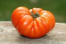 Tomatoes, Ugli