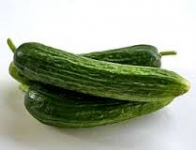 Cucumber Persian Cs.