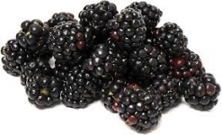 Blackberries, Organic