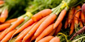 Carrots 1lb bag
