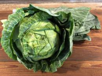 Cabbage, Organic