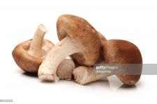 Mushroom, Shittake