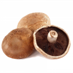Mushroom, Portabella