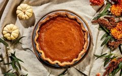 Pumpkin Pie 6  inch