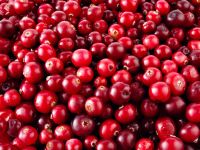 CRANBERRIES - LB