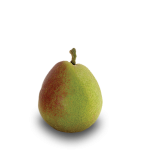 Pears, Seckel